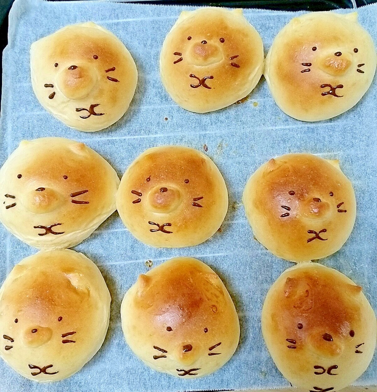 すみっこぐらし ねこ のキャラパン レシピ 作り方 By そらこ21 楽天レシピ すみっこぐらし ねこ のキャラパン レシピ 作り方 By そらこ21 楽天レシピ